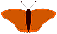 orange butterfly