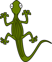 gecko