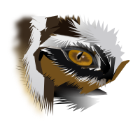 eye of the tiger