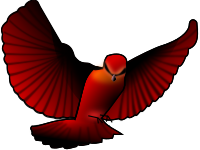 Red-bird