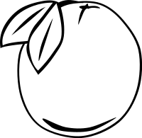 Simple Fruit Orange