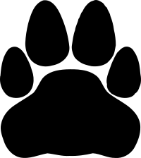 Cat -8