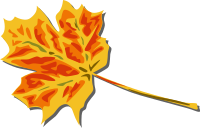 Fall Leaves