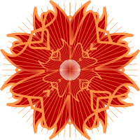 colorful rosette