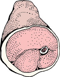 ham 1