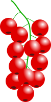 redcurrant