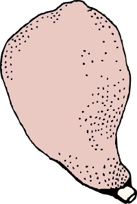 ham 3