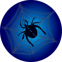 Spider-on-web