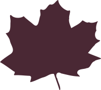 leaf 01