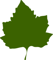 leaf 02