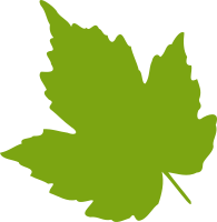 leaf 04