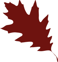 leaf 08
