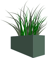 Grass in square planter