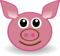 funny piggy face