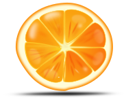 orange slice