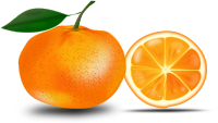 slice of an orange