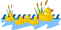 Rubber Duck Family