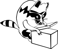 Raccoon opening box