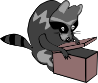 Raccoon opening box