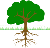 tree branches and root 01r
