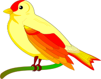 bird of peace mauro oliv 01