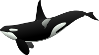 orca matthew gates r