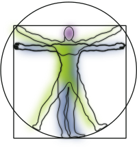 Vitruvian Man