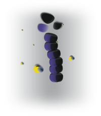 Microtubule