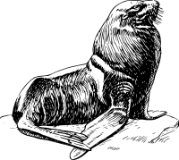seal