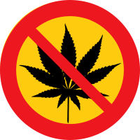 No cannabis