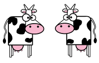 Cows