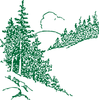 pines