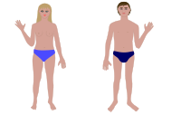 Human body, man and woman