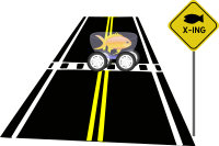Fish Crossing