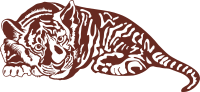 tiger cub