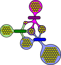 network