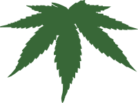 cannabis leaf