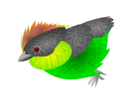 finch