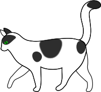 white cat walking