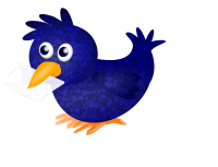 New bird