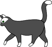 white cat walking 1