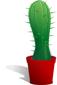 cactus