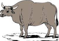Gaur