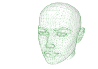 human