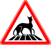 Carefully - Cats!