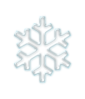 Snowflake