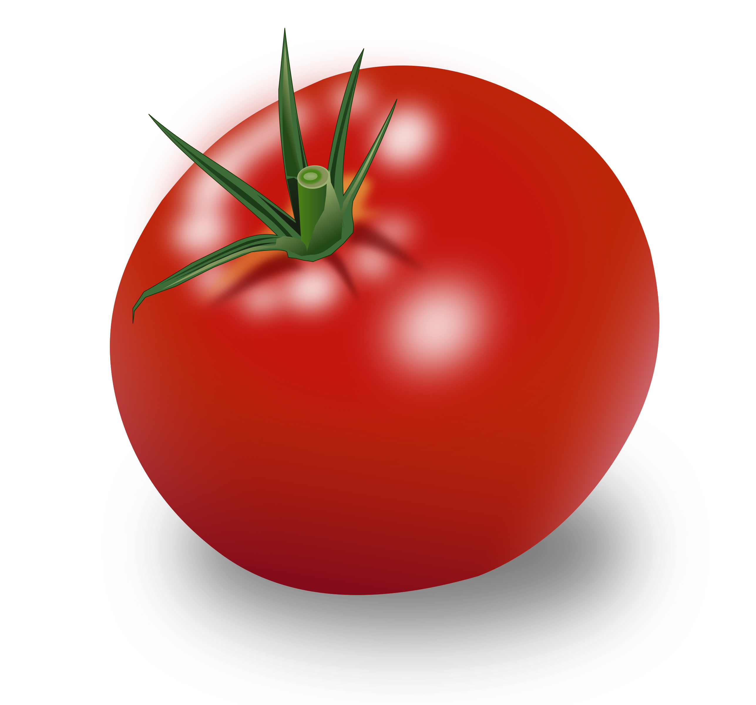 Clipart Tomate