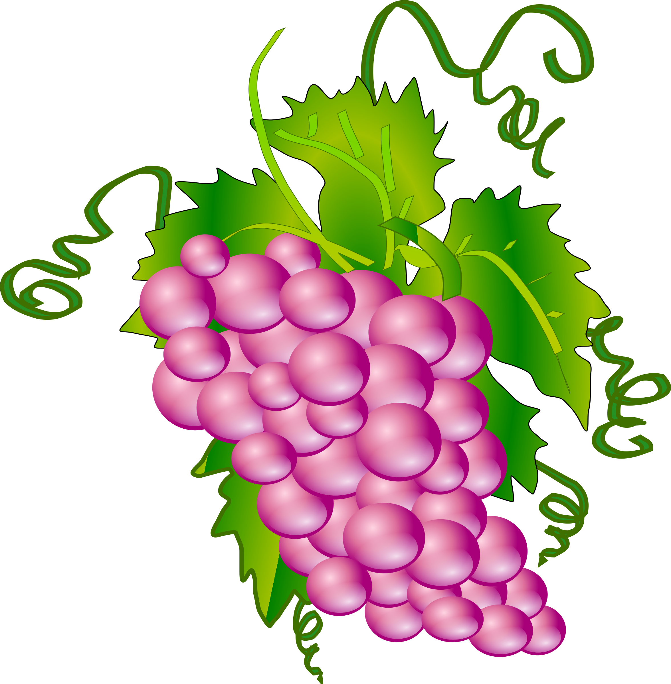 Clipart Grappe Clipart Grappe