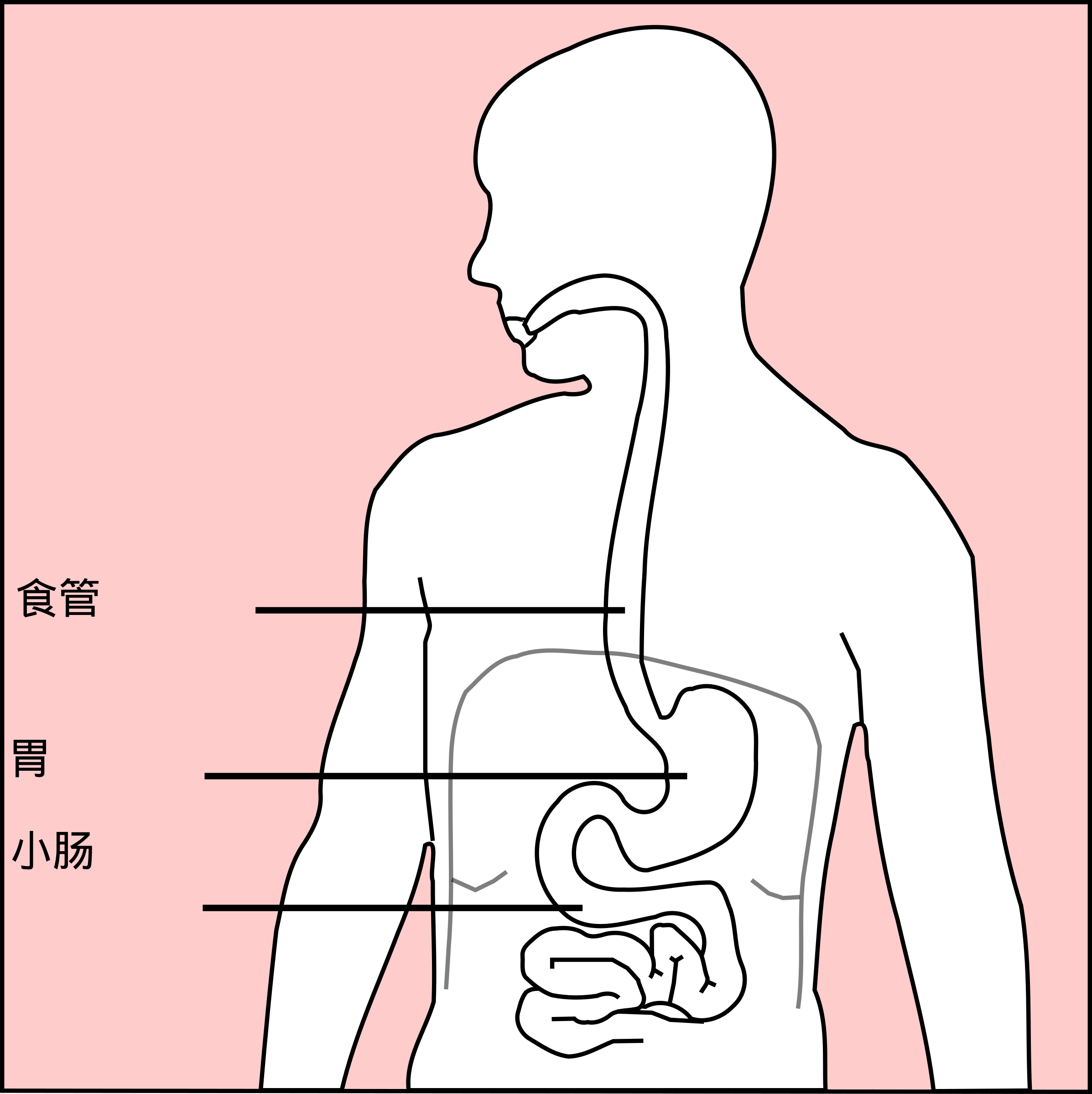 clipart-stomach-with-chinese