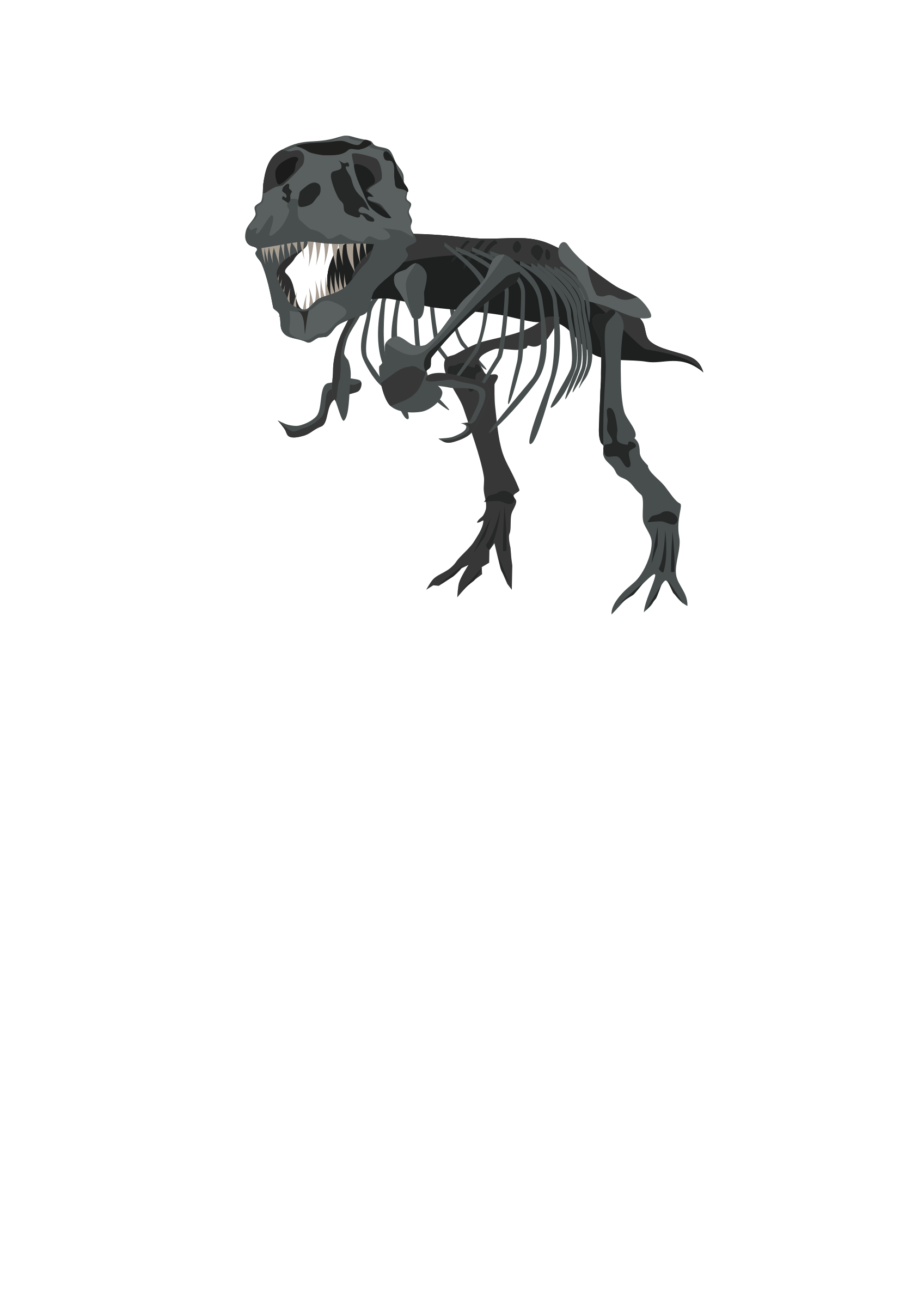 Clipart - T-Rex Skeleton